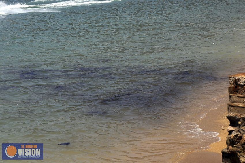 Grupo México, responsable de 22 desastres ecológicos desde 1998: Semarnat