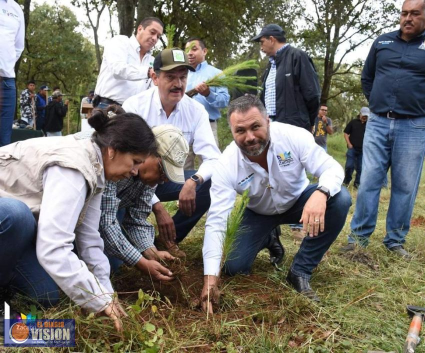 Concluyó el Programa de Reforestación 2019 en Zacapu