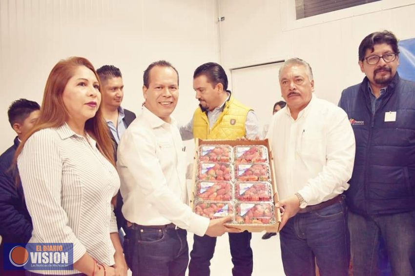 Jaime Hinojosa Campa, inauguró la planta congeladora de fresa “San Marcos”.