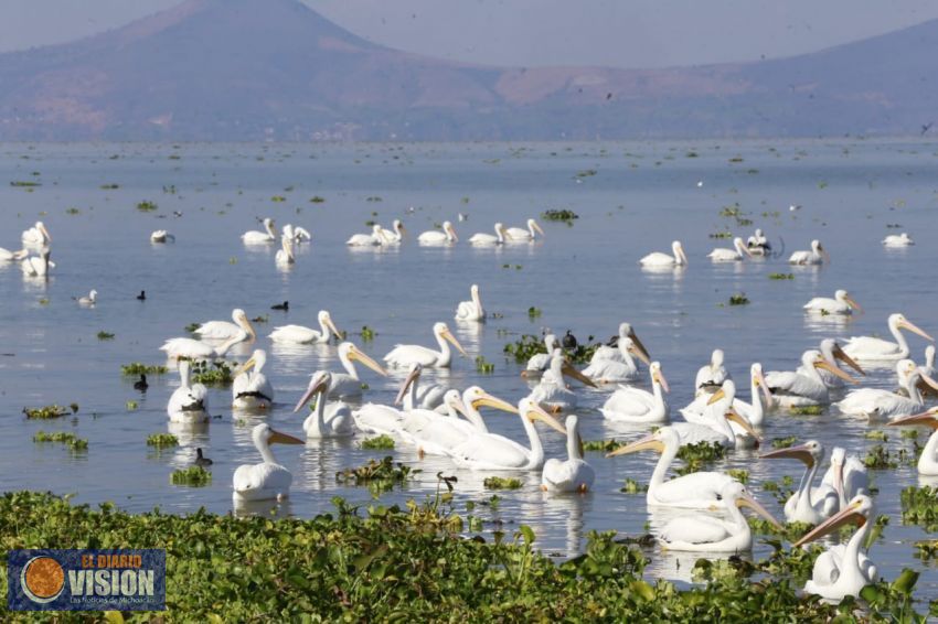 Michoacán, destino de espectáculos naturales extraordinarios 