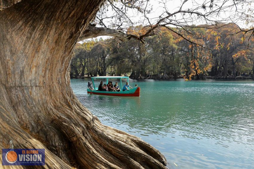 Devuelven a Lago de Camécuaro salud y esplendor