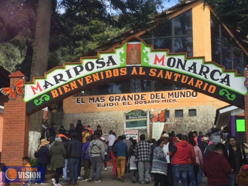 Invita Sectur a conocer las colonias de miles de mariposas en el Región de la Monarca