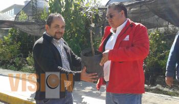 Se unen instituciones educativas y gubernamentales al rescate del zapote prieto