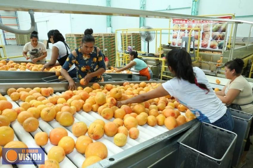 Continúa la caída de los Indicadores de Confianza Empresarial en México