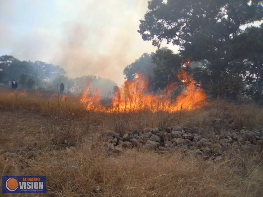 Coeneo se suma a las acciones contra incendios forestales