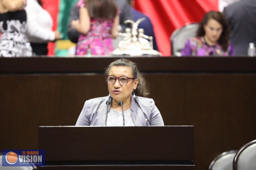 La diputada María Chávez presenta iniciativa para expedir Ley General de Conservación apícola
