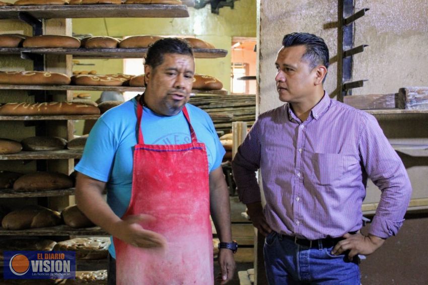 Pequeñas y medianas empresas también tendrán facilidades de pago del Infonavit: Torres Piña 