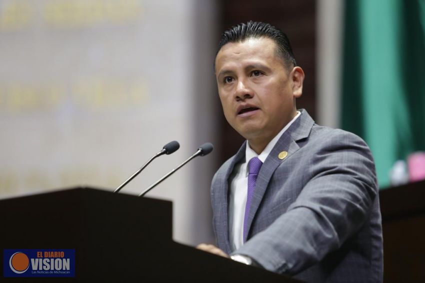 Insistiremos en reorientar gasto de partidos a la atención de la emergencia: Torres Piña