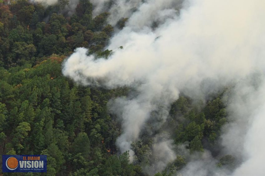 Atienden Estado y Federación incendio en Tacámbaro
