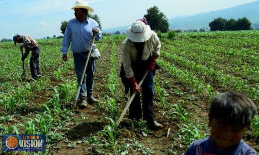 Demanda Michoacán a Federación certeza en programas del campo