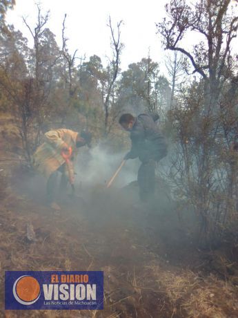 Bajo control, incendio en el cerro “El cacique”