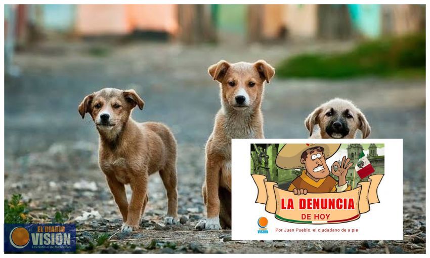 La denuncia ciudadana de hoy 