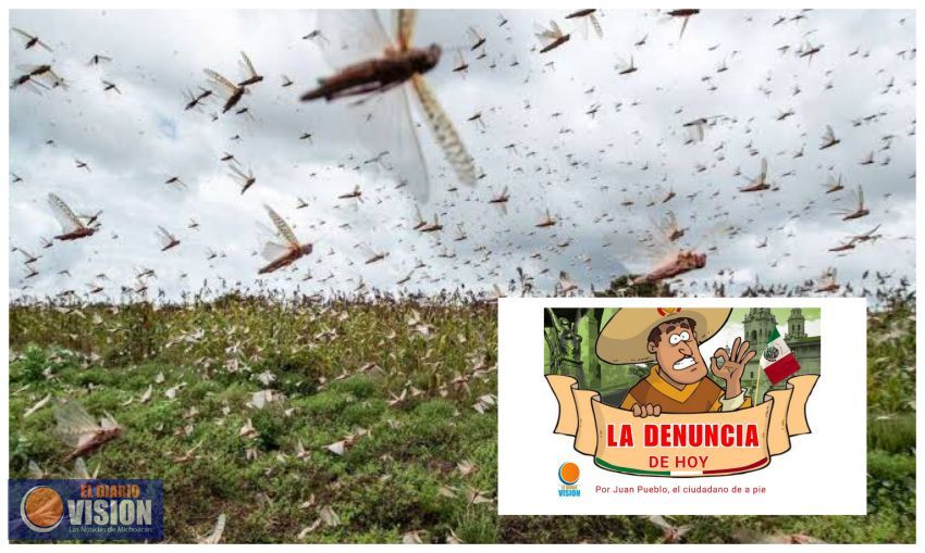 La denuncia ciudadana de hoy 