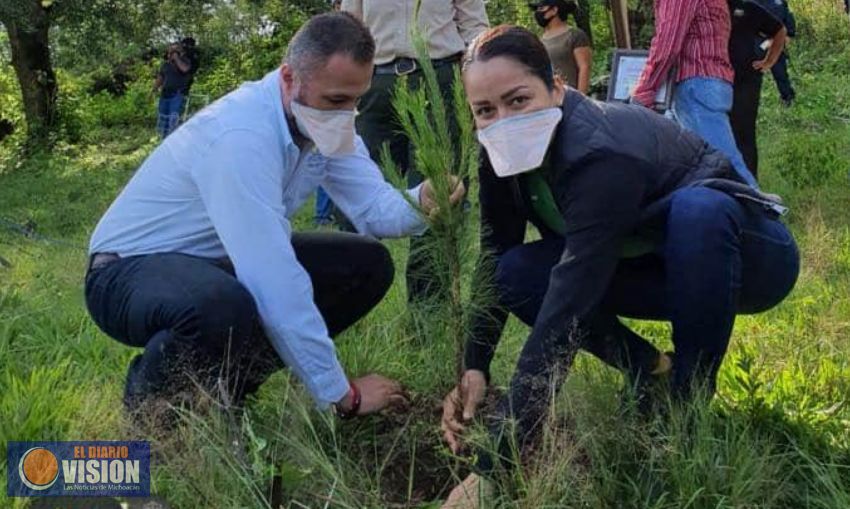 Gobierno de Zacapu, pone en marcha la reforestación anual 2020