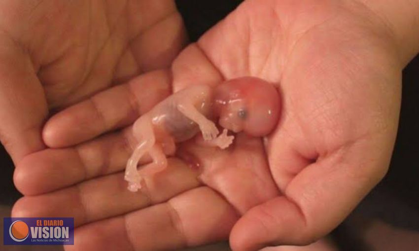 El Aborto #NoSeráLey