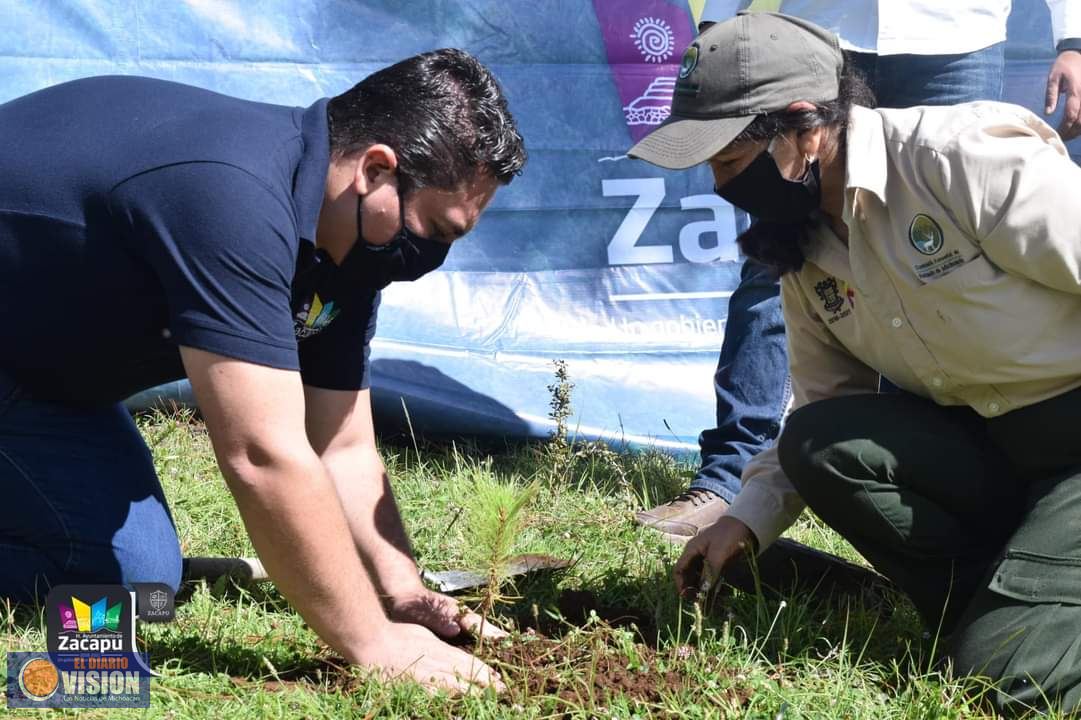 Con la plantación de 10 mil árboles, culminan temporada de reforestación en Zacapu 