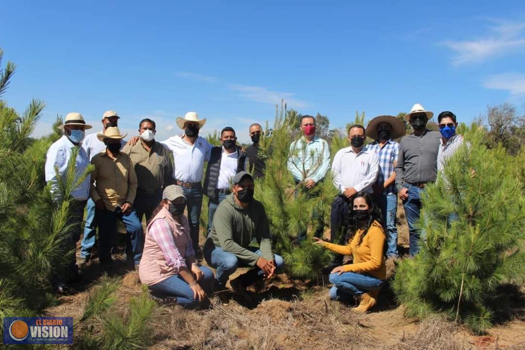 Alejandro Correa Gómez, encabezó la jornada de reforestación