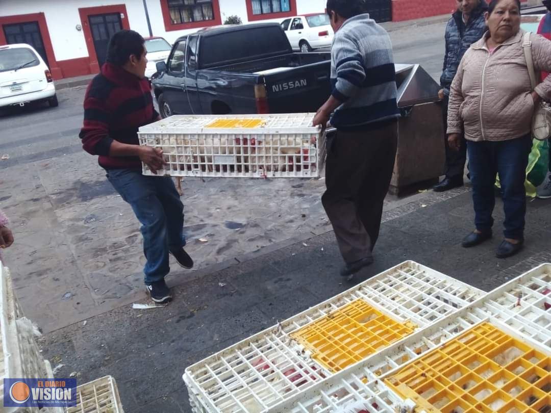 Entregan en Tzintzuntzan aves del programa de “Gallinas ponedoras para la Producción de Huevo”
