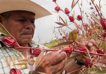 Encuentran sin vida a activista secuestrado