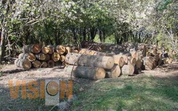 Detalla logros Unidad de Asuntos Forestales de la PGJ