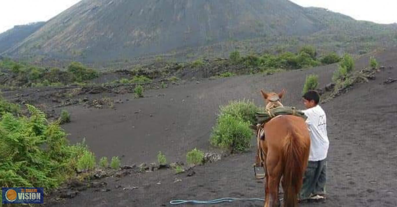 Podría nacer un nuevo volcán en Michoacán