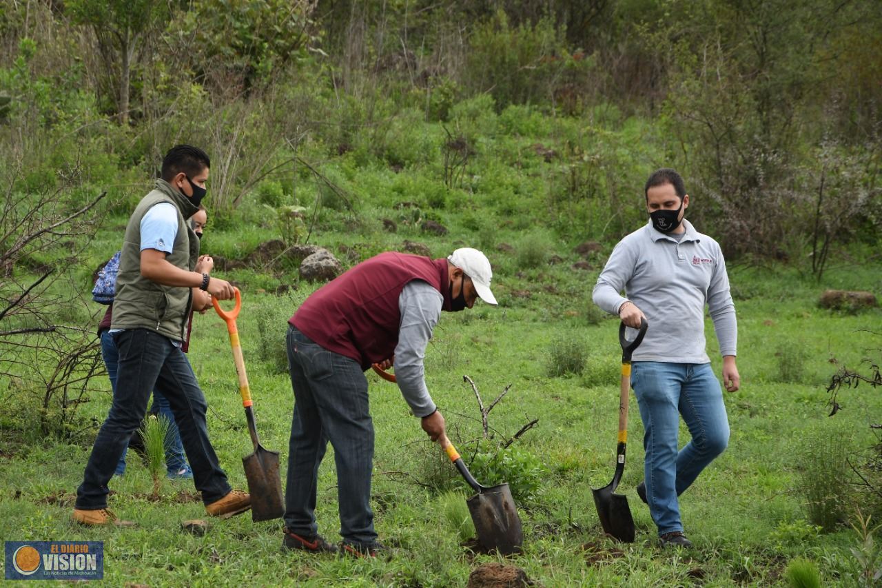 Gobierno de Morelia prepara Programa de Reforestación 2021