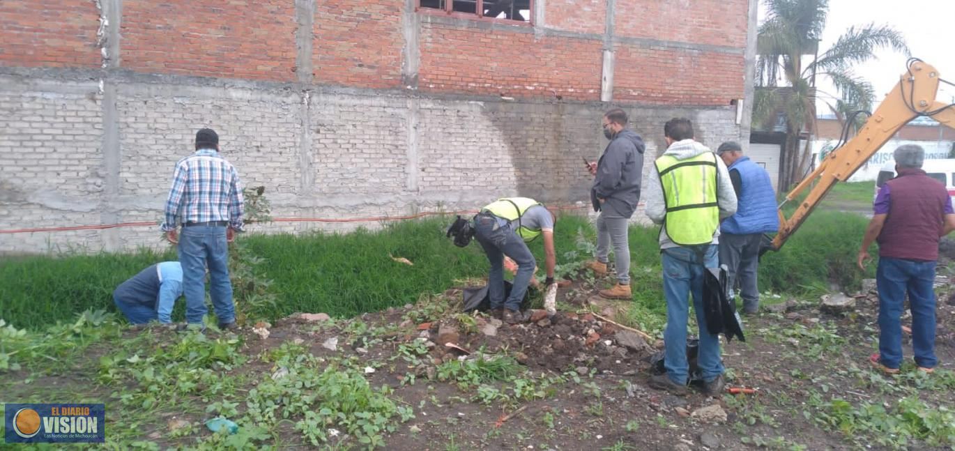 Brigada Interinstitucional retira 45 toneladas de lirio y basura en dren de Morelia