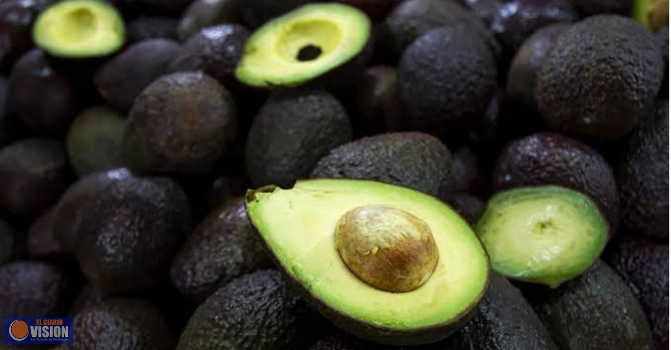 El aguacate se convertirá en la fruta tropical más comercializada en el 2030