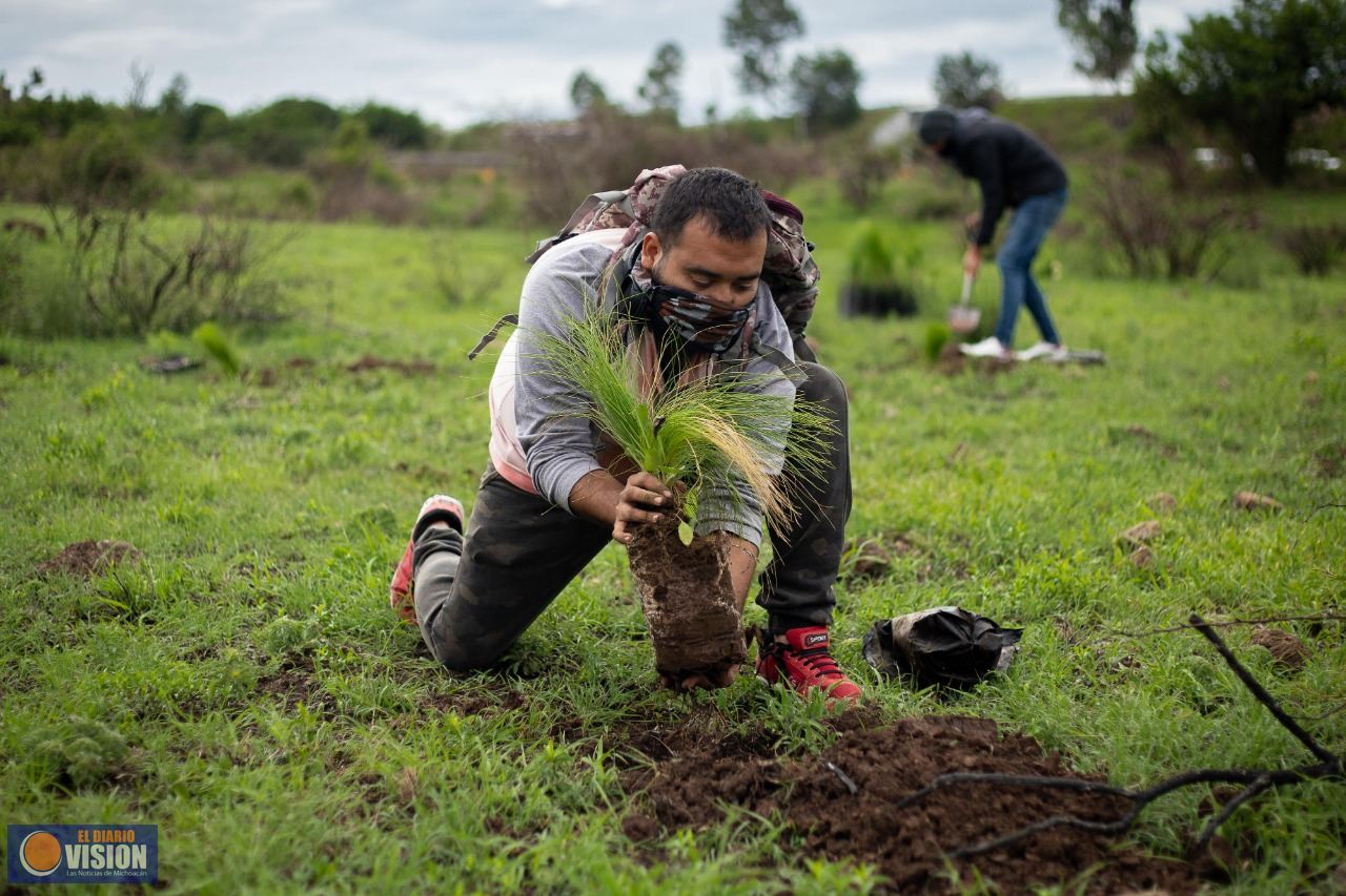 Gobierno de Morelia, reconocido internacionalmente por su agenda ambiental