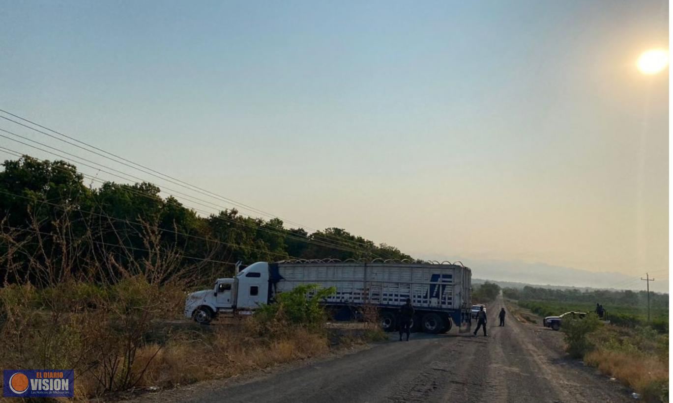 AMLO asegura a residentes de Aguililla que atenderán peticiones pero no visitará la zona 
