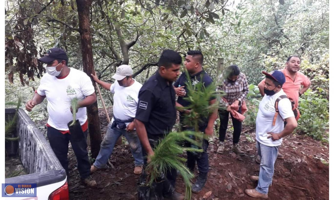 Nelson Villegas Figueroa, encabezó la jornada de reforestación “plantemos el futuro”