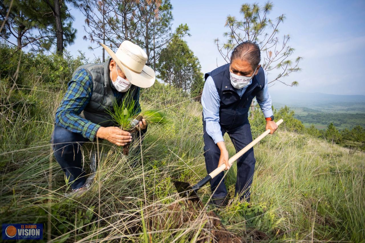 Gobierno de Morelia prioriza recuperación de cuencas hídricas y bosques