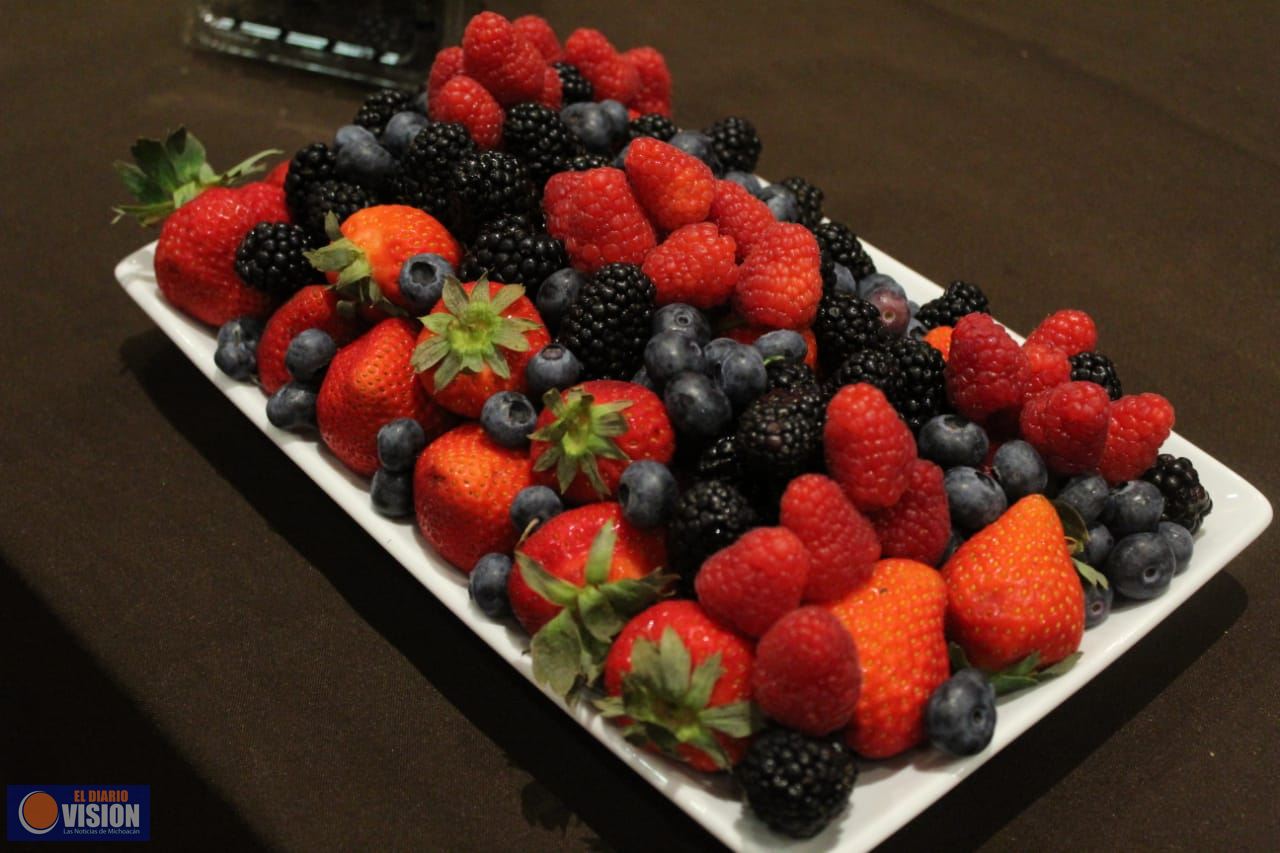 Refrenda Michoacán liderazgo mundial en producción de berries