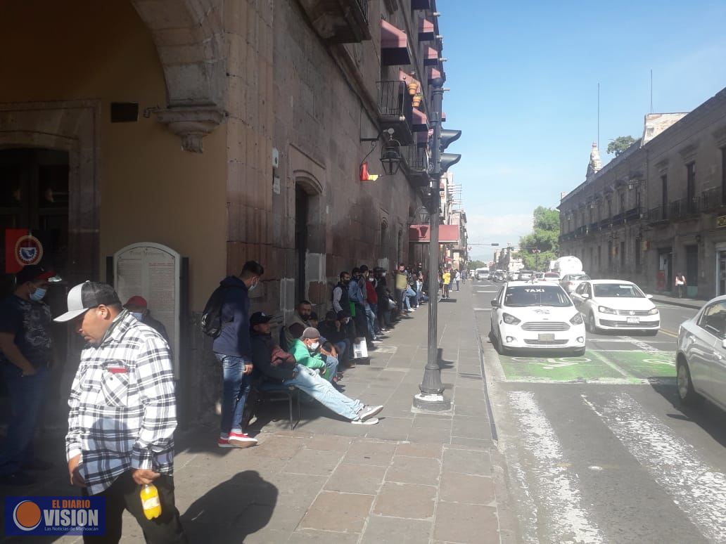 Coyotes en Morelia