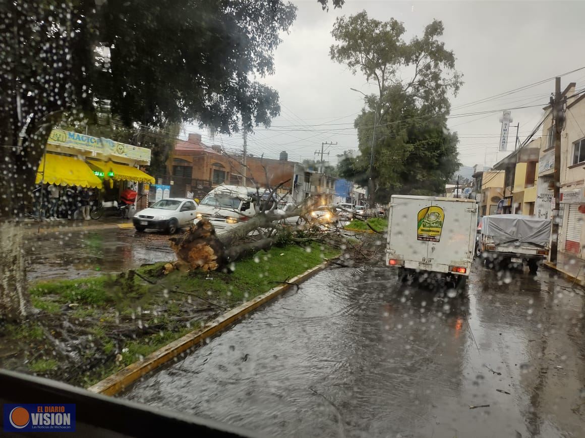 Gobierno de Morelia se mantiene alerta por tormenta tropical Grace