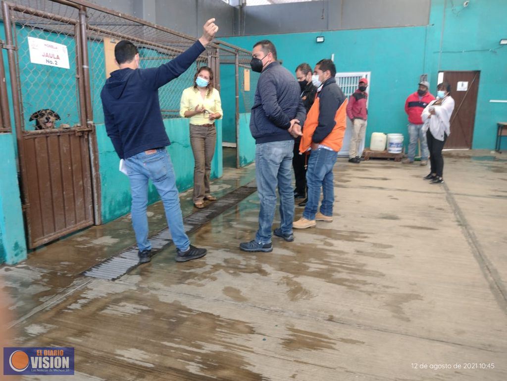 Gobierno de Morelia mejora instalaciones del Centro de Atención Animal
