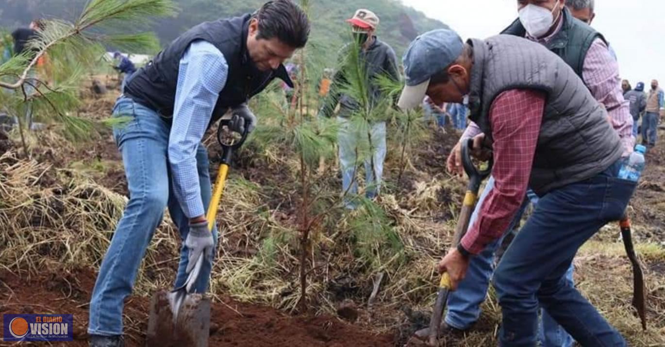 Arranca el programa de reforestación “Morelia Brilla”