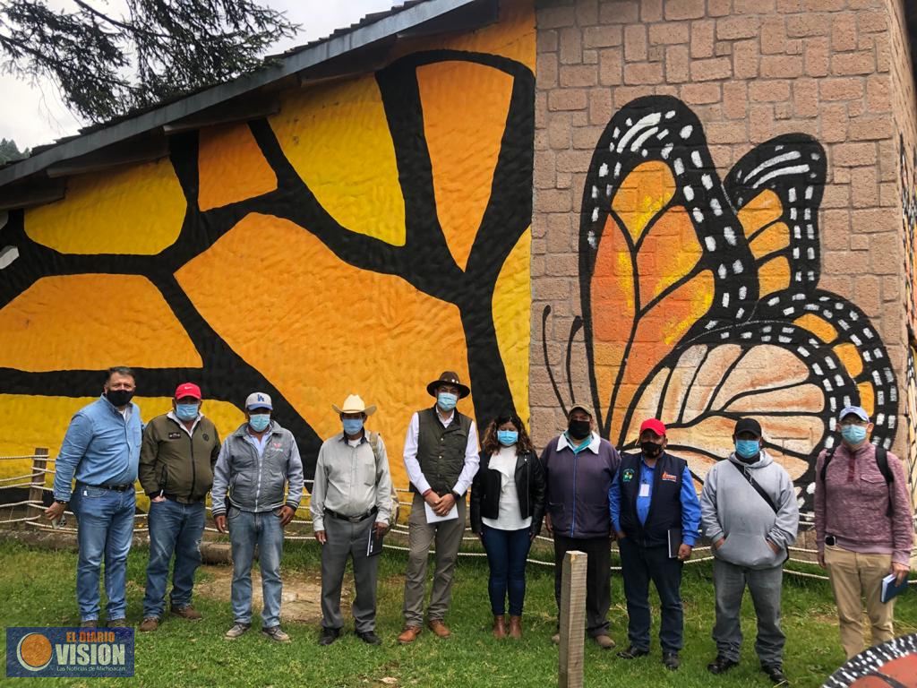 Inician mantenimiento para recibir al turismo en  Santuarios de la Mariposa Monarca