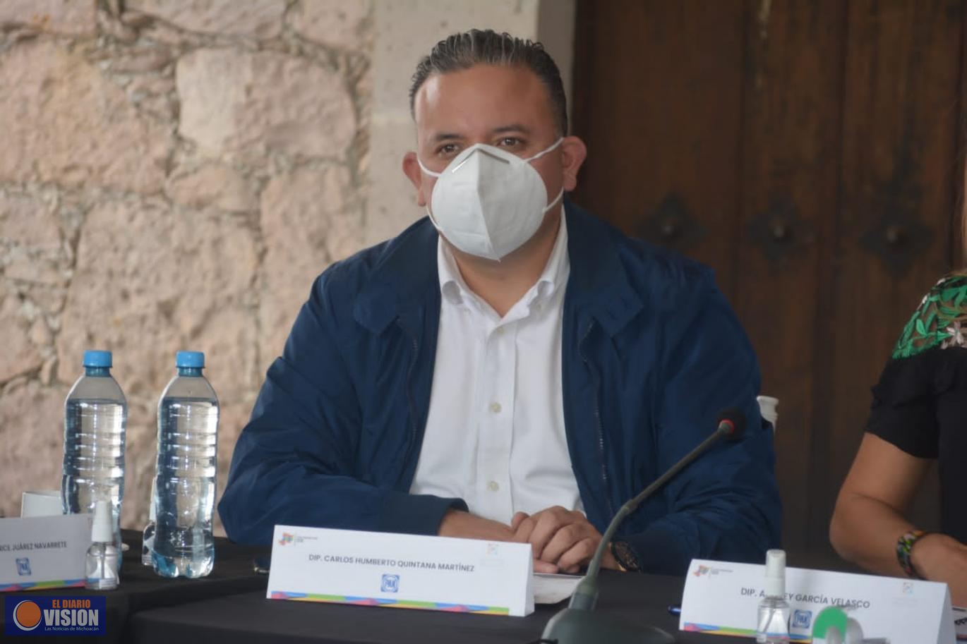 Michoacán requiere mínimo mil millones de pesos extraordinarios de presupuesto: Carlos Quintana 