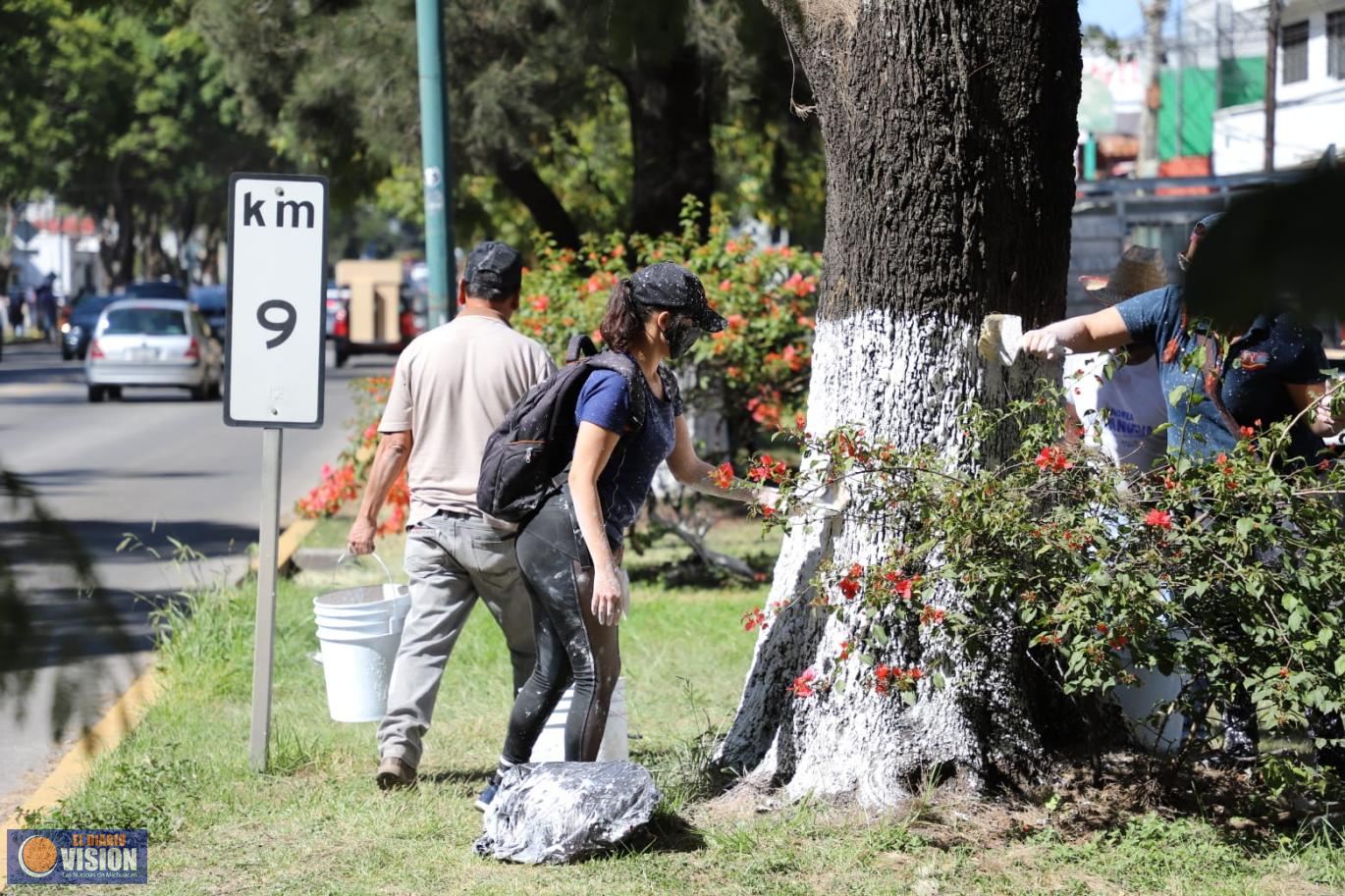 Gobierno Municipal interviene áreas verdes en camellones de avenida Camelinas