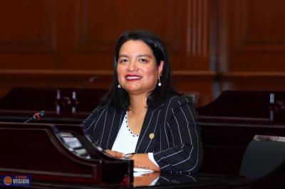 Propone diputada Érendira Isauro sancionar usurpación de identidad de género en candidaturas