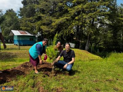 Alfonso Martínez acompaña a vecinas y vecinos de Atécuaro en jornada de reforestación